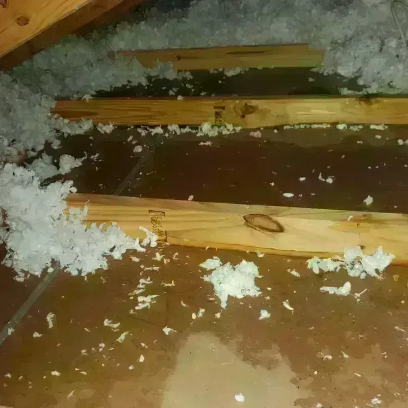 Attic Water Damage in Dixon, MO