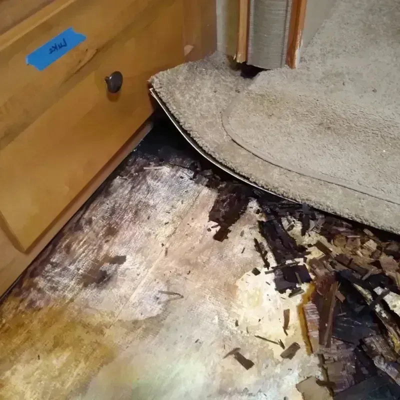 Wood Floor Water Damage in Dixon, MO